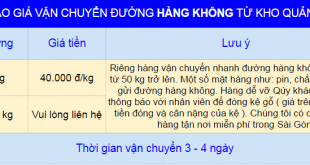 Lưu bản nháp tự động