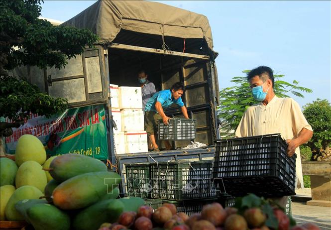 Lưu bản nháp tự động