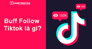 Buff Follow TikTok là gì?